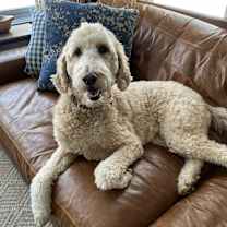 Thumbnail photo of Maggie #1