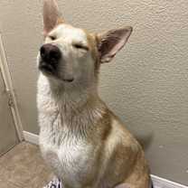 Thumbnail photo of Luna #1