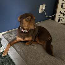 Thumbnail photo of Laken #1