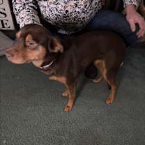 Thumbnail photo of Laken #3