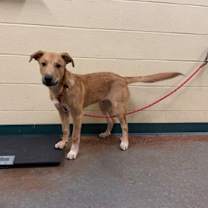 Thumbnail photo of Skylar #1