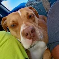 Thumbnail photo of Esme #2