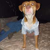 Thumbnail photo of Esme #3