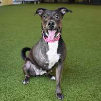 Thumbnail photo of Macy #1