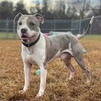 Thumbnail photo of Randy #3