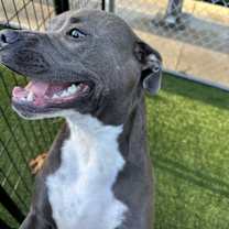 Thumbnail photo of Franklin #2