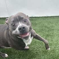 Thumbnail photo of Franklin #3