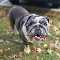 Thumbnail photo of Bruce #1