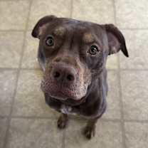 Thumbnail photo of Penelope #1