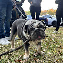 Thumbnail photo of Bruce #4