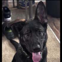 Thumbnail photo of Chase #1