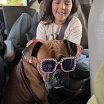 Thumbnail photo of Canelo #2