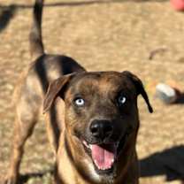 Thumbnail photo of JAYDEN #1