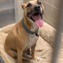 Thumbnail photo of AMORA #2