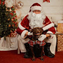 Thumbnail photo of Iris #4