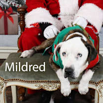 Thumbnail photo of Mildred  #1