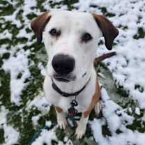 Thumbnail photo of Bam Bam #3