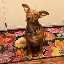 Thumbnail photo of Jessi #4