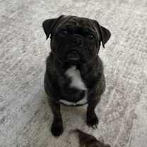 Thumbnail photo of Tater #1