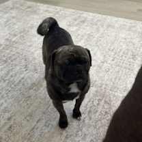 Thumbnail photo of Tater #3