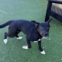 Thumbnail photo of Miranda Bailey #2