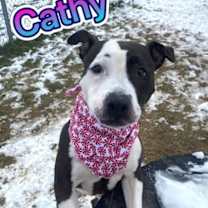 Thumbnail photo of Cathy #1