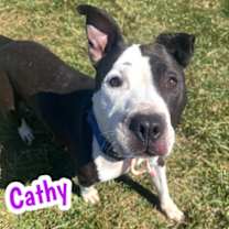 Thumbnail photo of Cathy #2