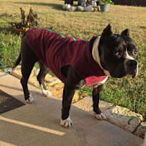 Thumbnail photo of Ikora #2