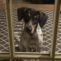 Thumbnail photo of Charlie #3