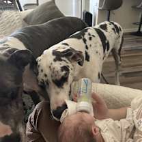 Thumbnail photo of Maggie #2