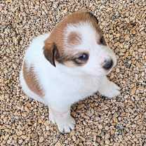 Thumbnail photo of Zuri JuM #2