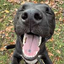 Thumbnail photo of Millie #3