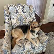 Thumbnail photo of Allie #1