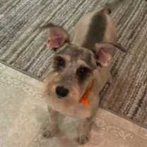 Thumbnail photo of Bali #1