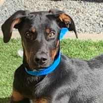 Thumbnail photo of URGENT! Save Me Please #1