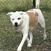 Thumbnail photo of Sunni #2