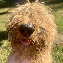 Thumbnail photo of MAX #3