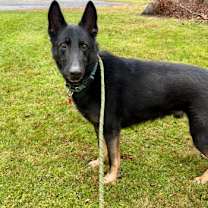 Thumbnail photo of Baby Bear #1