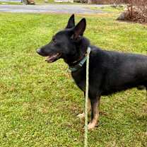 Thumbnail photo of Baby Bear #2