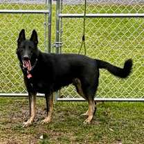 Thumbnail photo of Baby Bear #3