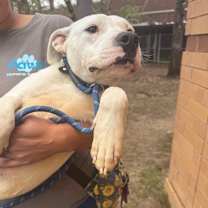 Thumbnail photo of Pubby 2836 #2