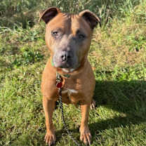 Thumbnail photo of Deidra #2