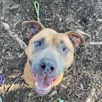 Thumbnail photo of Deidra #3