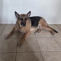 Thumbnail photo of Samantha #2