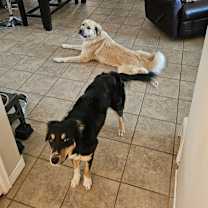 Thumbnail photo of Grace #2