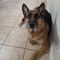 Thumbnail photo of Samantha #3