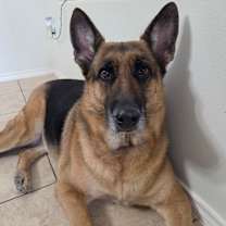 Thumbnail photo of Samantha #4