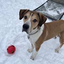 Thumbnail photo of Max #4