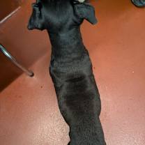 Thumbnail photo of Spunk #4