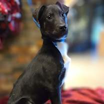 Thumbnail photo of Virginia #1